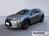 Lexus UX UX Hybrid Executive - graue Lexus UX