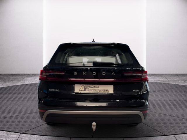 Fahrzeugabbildung SKODA Kodiaq 2.0 TDI DSG 4x4 Selection AHK AREAVIEW MA