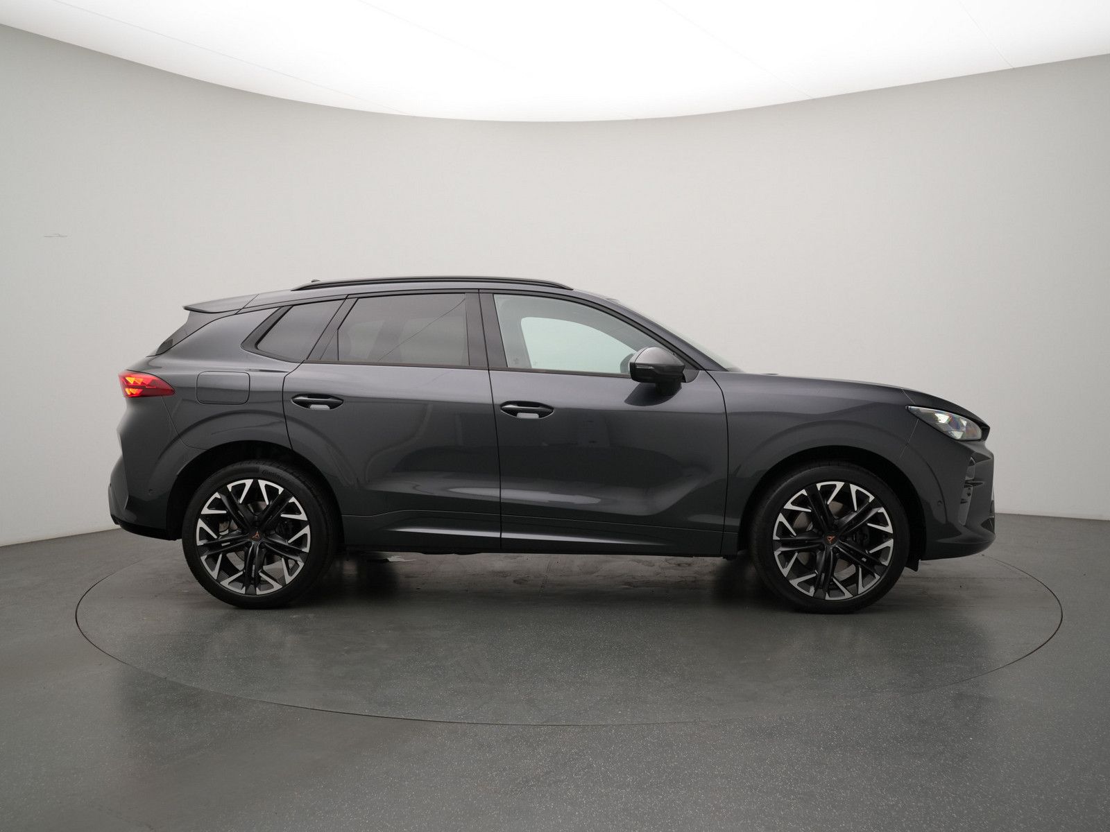 Cupra Terramar - Bild 3