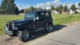 Jeep Wrengler 4,0 L 6 Zylinder YJ  4X4 Allrad - Jeep Wrangler: Yj