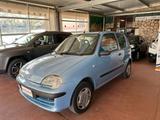 Fiat Seicento 1.1i cat Active - Fiat Seicento Active mit Benzin-Antrieb