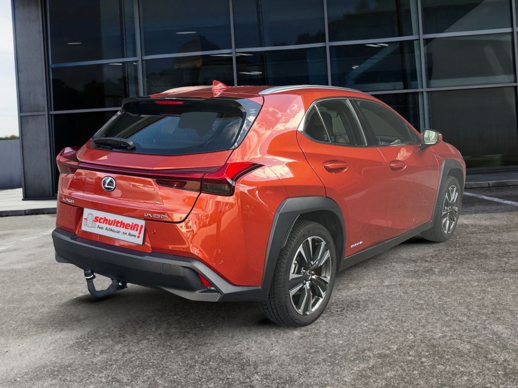 Fahrzeugabbildung Lexus UX 250h  (E-FOUR) Luxury Line