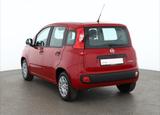 Fiat New Panda Pandina 1.0 mHEV App Connect PDC klima - rote Fiat New Panda