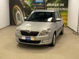 Skoda Fabia 1.2l TSI 77kW Fresh+KLIMAAUTOMATIK+SHZ+PDC - Skoda Fabia mit Benzin-Antrieb