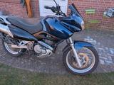 Suzuki XF 650 FREEWIND - Guter Zustand - SUZUKI 650 FREEWIND