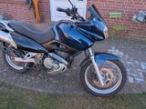Suzuki XF 650 FREEWIND - Guter Zustand - SUZUKI 650 FREEWIND XF