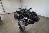 Beeline ATV 500 SM / Bestia 5.5 Supermoto von 20 - QUAD ATV