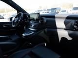 Mercedes-Benz V 300 AVANTGARDE NIGHT EDITION L+AMG+AIRMATIC - Mercedes-Benz V 300 aus 2024