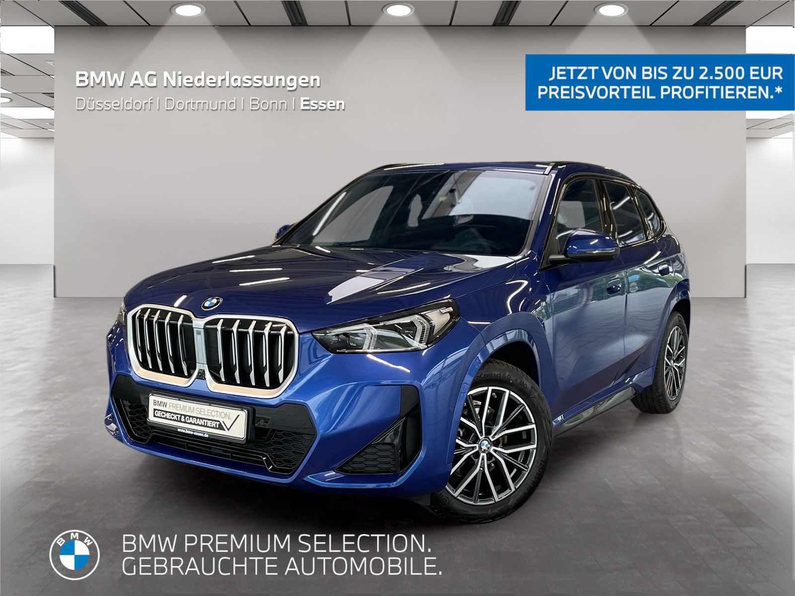 BMW X1 xDrive20d M Sport AHK Driv.Assist.Prof LED