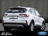 Ford Kuga Plug-In Hybrid Cool & Connect Ganzjahresrei - gebrauchte Ford SUV & Geländewagen