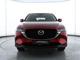Mazda CX-5 2.5 e-SKYACTIV-G  M-Hybrid Advantage  - Mazda Gebrauchtwagen von 2024