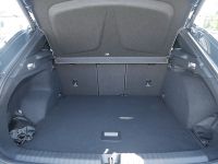Cupra Terramar - Vorschau Bild 12