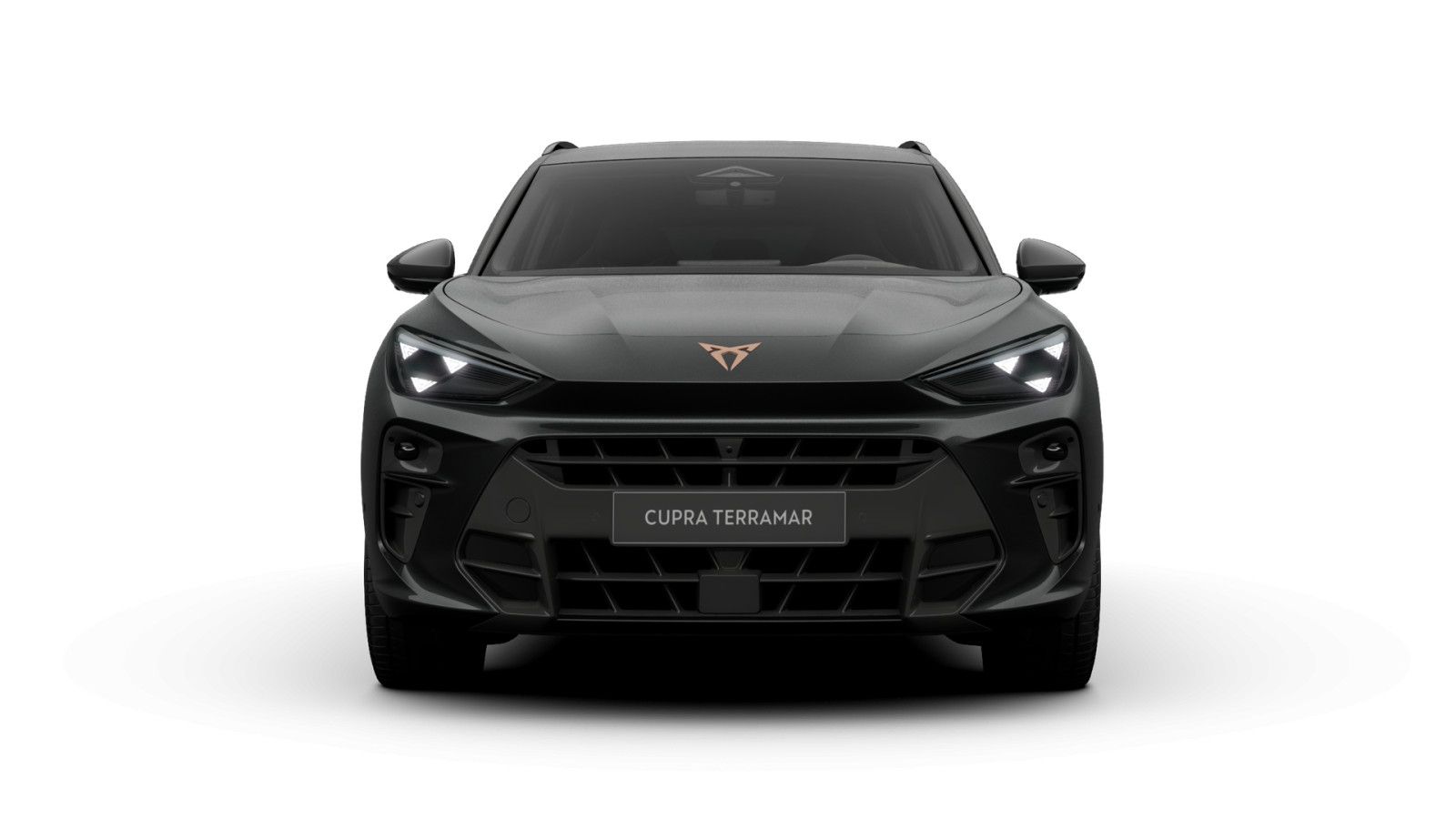 Cupra Terramar - Bild 4