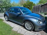 Volkswagen Beetle 1.6 TDI DSG - Leder Pano Navi Klima - VW Beetle Gebrauchtwagen in Berlin
