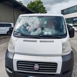 Fiat Ducato Sprinter Transporter L1 H1 - Fiat: Transporter