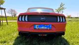 Ford Mustang 5.0 Ti-VCT V8 GT  10 Gang Automatik - Ford Mustang: Rot, Cabrio