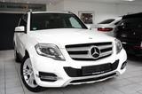 Mercedes-Benz GLK 220 CDI 4-Matic TOP 1. HAND SCHECKHEFT NAVI - Mercedes-Benz GLK 220 in Berlin