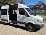 Mercedes-Benz Sprinter II Kombi 316 CDI NEUER MOTOR NUR, 150KM - Mercedes-Benz Sprinter: Motor