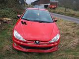 Peugeot 206 CC - Peugeot 206 Gebrauchtwagen in Saarbrücken