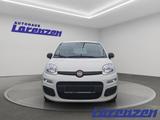 Fiat Panda 1.0 70PS Klima DAB Spurhalteass. Verkehrsz - Fiat Panda aus 2025