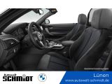 BMW M240i Cabrio Innovationsp. + GARANTIE - BMW: Garantie