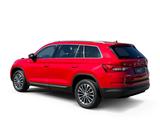 Skoda Kodiaq Style 2.0 TDI DSG *NAVI*PANODACH*360°KAM* - rote Skoda Kodiaq