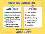 MG ZS EV CCS Luxury Kamera+LED+Panorama+Leder - MG ZS: EV