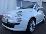 Fiat 500 Cabrio 1,2 51kW 69PS Lounge/Klima/PDC/1.Hand - Fiat in Hagen