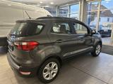 Ford EcoSport 1.0 Titanium PDC WINTER-P SKR+WKR - Ford EcoSport Gebrauchtwagen