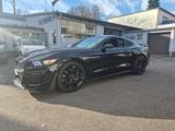 Ford Mustang 5.0 Ti-VCT V8 GT GT - Ford Mustang Gebrauchtwagen in Düsseldorf