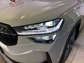 Skoda Kodiaq 2.0 TDI 4x4 Sportline Pano AHK 7-Sitze