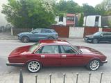 Jaguar XJ 40  3,2Liter - Jaguar XJ40 von privat