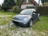 Volkswagen VW New Beetle zu verkaufen - VW New Beetle Gebrauchtwagen in Berlin