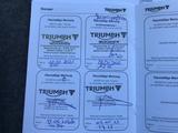 Triumph Bobber Black Custombike, absolutes Einzelstück ! - Angebote