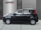 Fiat Panda 1.0 PDC Klimaanlage el. Fenster el. Spiege - Fiat Panda Tageszulassungen mit Benzin-Antrieb