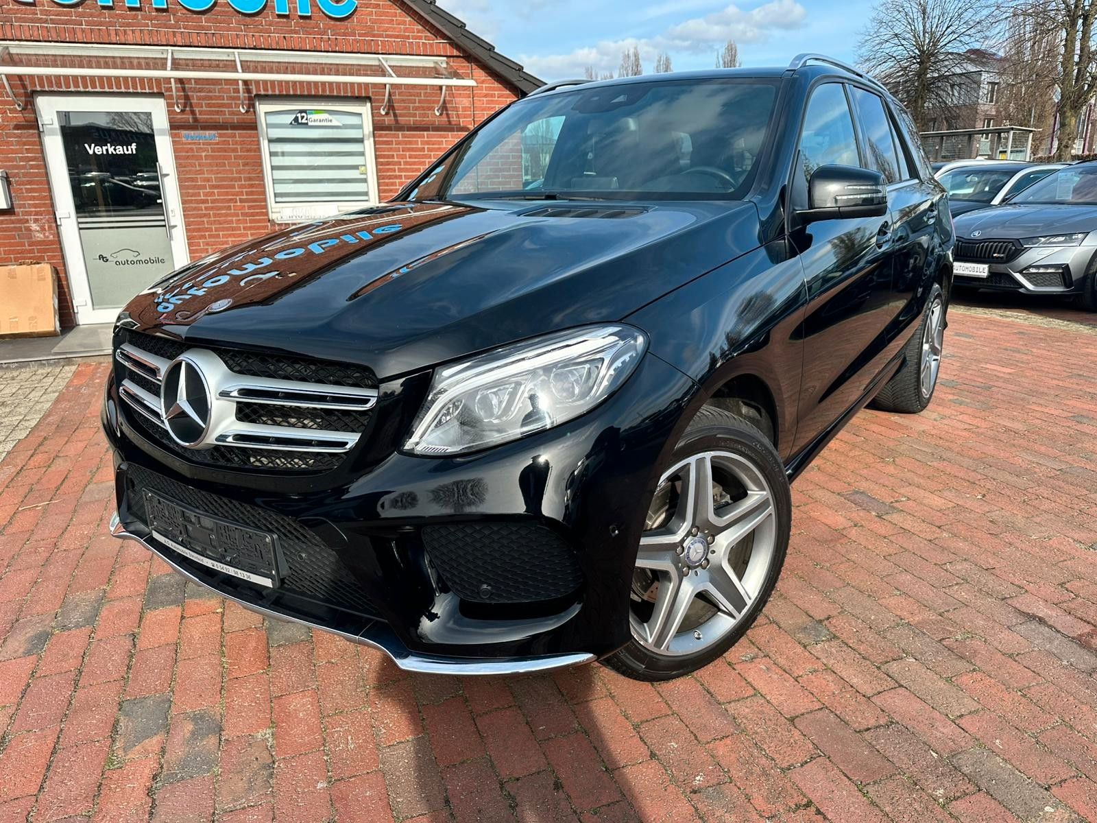 Mercedes Mercedes-Benz GLE 250 d 4Matic AMG SZH LED NAVI CA