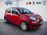 Fiat Pandina Icon MY26, Klimaanlage, Tempomat, PDC - Fiat Panda Neuwagen