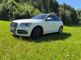 Audi SQ5 TDI quattro - neue Reifen, top Zustand - gebrauchte Audi SQ5 aus dem Jahr 2024