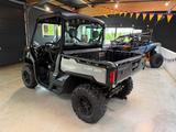 Can-Am Traxter 1000 XT HD10 Defender LOF - Angebote