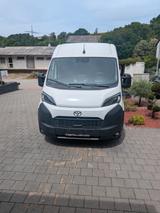 Toyota Proace Max - weiße Toyota Proace Max