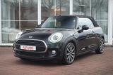 MINI Cabrio 1.5 Cooper Klimaaut. Sitzheizung PDC USB - : Cabrio, Us