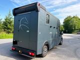 Peugeot Boxer MSG Stablehopper Pferdetransporter 3,5t - graue Peugeot Boxer