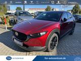 Mazda CX-30 2.5L e-SKYACTIV G 140ps 6AT FWD Nagisa - Mazda CX-30 mit Hybrid-Antrieb: Nagisa