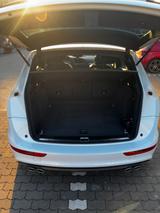 Audi SQ5 3.0 TDI plus tiptronic quattro - - Audi SQ5 Gebrauchtwagen in Köln