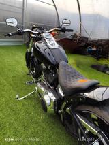 Harley-Davidson Softtail FXST Custom Bike - CHOPPER CUSTOM BIKE