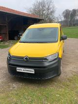 Volkswagen Caddy Cargo 2.0 TDI / AHK / KEIN POSTAUTO !! - Post Autos & Postbus