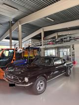 Ford Mustang Fastback 1967 V8 302 H-Zulassung - Ford Mustang aus 1967: Fastback