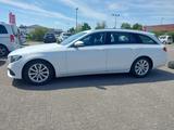 Mercedes-Benz E 200d T Avantgarde - Mercedes-Benz E 200 mit Diesel-Antrieb: Kombi