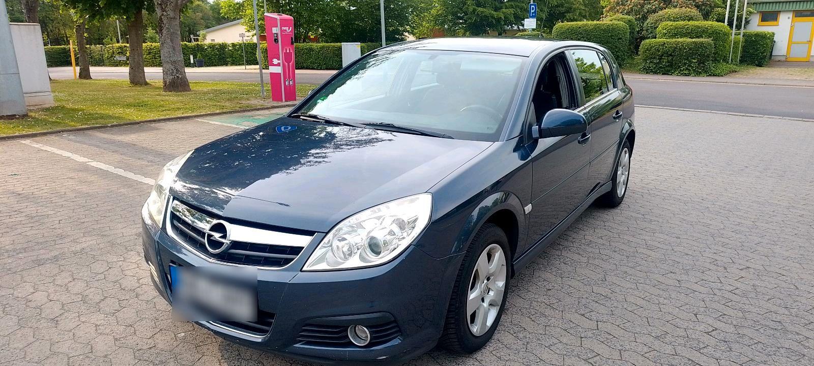 Opel Signum 2008 — interior