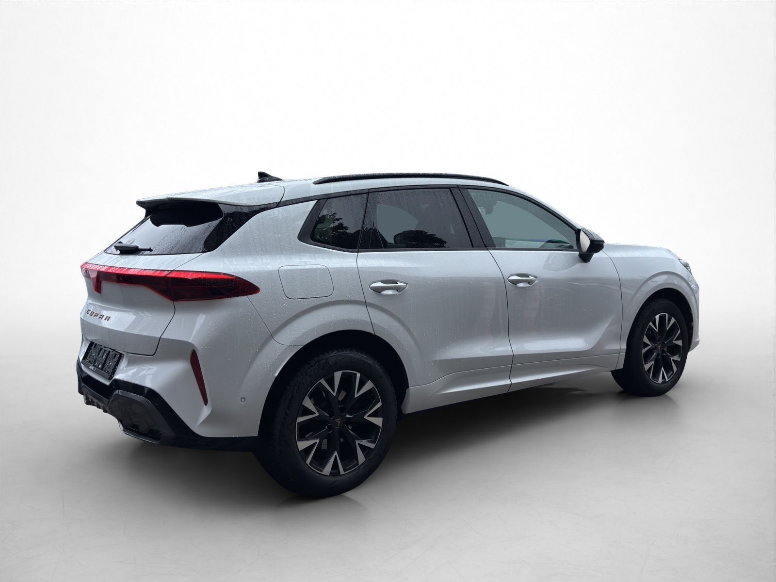 Cupra Terramar - Bild 17